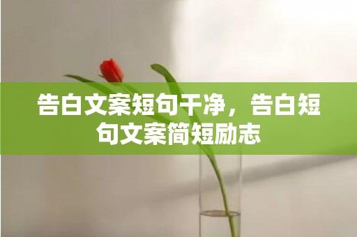 告白文案短句干净，告白短句文案简短励志