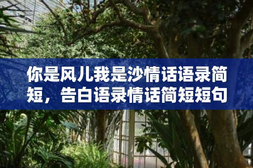 你是风儿我是沙情话语录简短，告白语录情话简短短句