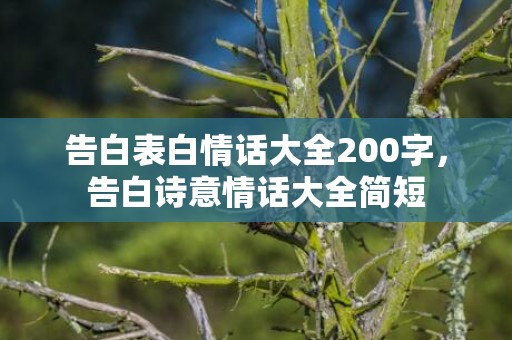 告白表白情话大全200字，告白诗意情话大全简短