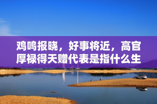 鸡鸣报晓，好事将近，高官厚禄得天赠代表是指什么生肖，词典精准落实