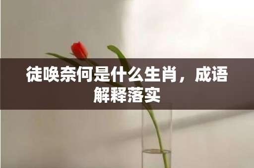 徒唤奈何是什么生肖，成语解释落实