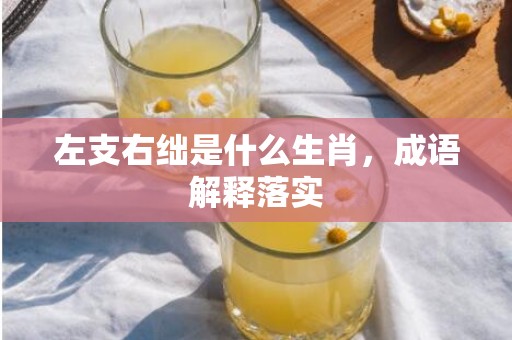左支右绌是什么生肖，成语解释落实
