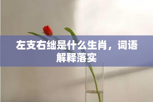 左支右绌是什么生肖，词语解释落实