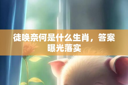 徒唤奈何是什么生肖，答案曝光落实