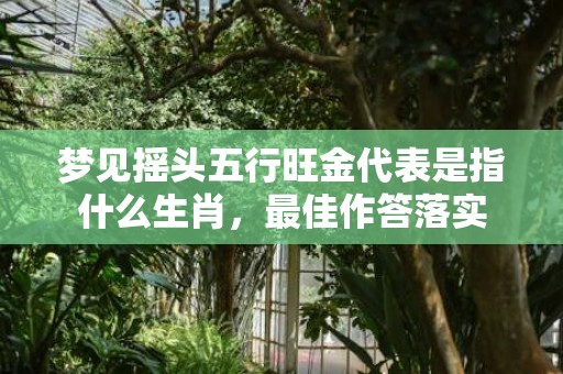 梦见摇头五行旺金代表是指什么生肖，最佳作答落实
