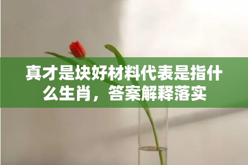 真才是块好材料代表是指什么生肖，答案解释落实
