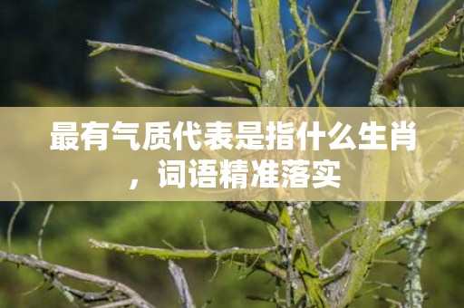 最有气质代表是指什么生肖，词语精准落实