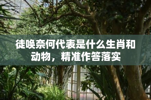 徒唤奈何代表是什么生肖和动物，精准作答落实