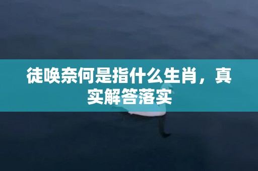 徒唤奈何是指什么生肖，真实解答落实