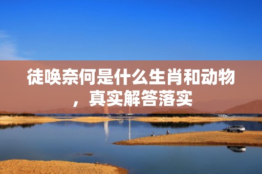 徒唤奈何是什么生肖和动物，真实解答落实