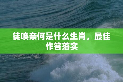 徒唤奈何是什么生肖，最佳作答落实