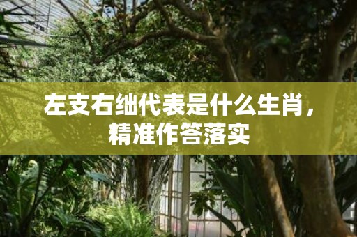 左支右绌代表是什么生肖，精准作答落实