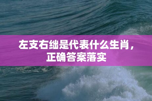 左支右绌是代表什么生肖，正确答案落实