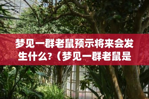 梦见一群老鼠预示将来会发生什么?（梦见一群老鼠是什么意思梦见一群老鼠是什么意思周公解梦_...）