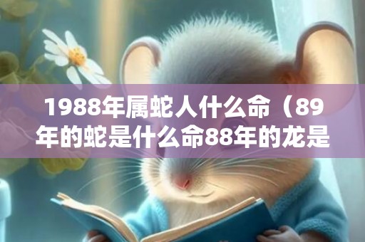1988年属蛇人什么命（89年的蛇是什么命88年的龙是什么命）