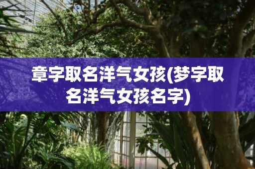 章字取名洋气女孩(梦字取名洋气女孩名字)