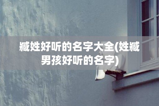 臧姓好听的名字大全(姓臧男孩好听的名字)