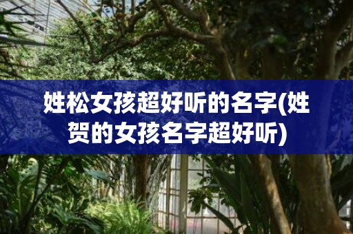 姓松女孩超好听的名字(姓贺的女孩名字超好听)