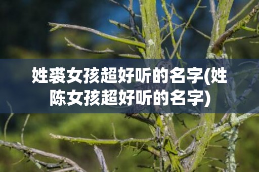 姓裘女孩超好听的名字(姓陈女孩超好听的名字)