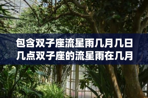 包含双子座流星雨几月几日几点双子座的流星雨在几月几日几点_...的词条