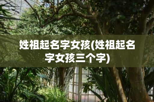 姓祖起名字女孩(姓祖起名字女孩三个字)