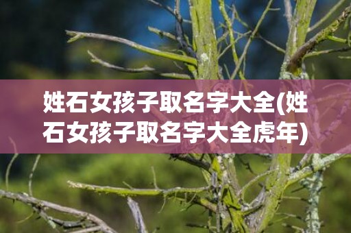 姓石女孩子取名字大全(姓石女孩子取名字大全虎年)