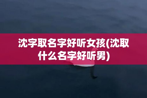 沈字取名字好听女孩(沈取什么名字好听男)