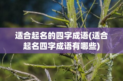 适合起名的四字成语(适合起名四字成语有哪些)
