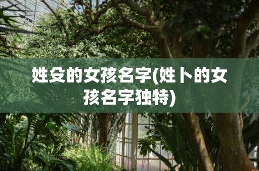 姓殳的女孩名字(姓卜的女孩名字独特)