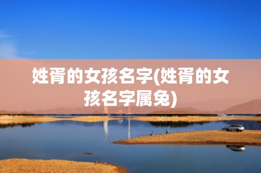 姓胥的女孩名字(姓胥的女孩名字属兔)