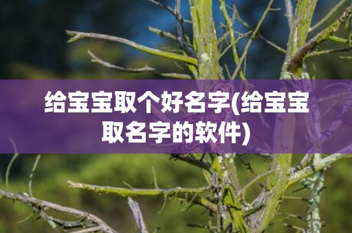 给宝宝取个好名字(给宝宝取名字的软件)