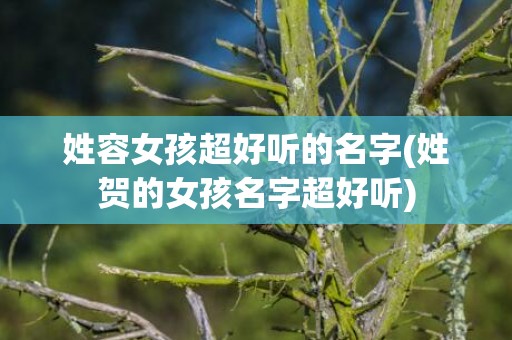 姓容女孩超好听的名字(姓贺的女孩名字超好听)
