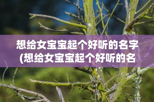 想给女宝宝起个好听的名字(想给女宝宝起个好听的名字)