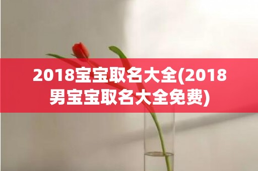 2018宝宝取名大全(2018男宝宝取名大全免费)