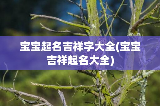 宝宝起名吉祥字大全(宝宝吉祥起名大全)