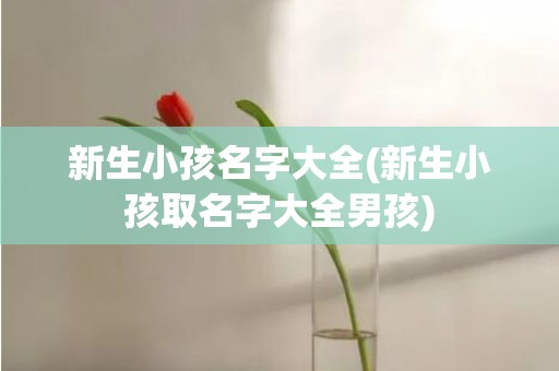新生小孩名字大全(新生小孩取名字大全男孩)