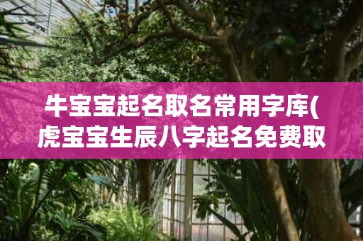 牛宝宝起名取名常用字库(虎宝宝生辰八字起名免费取名)