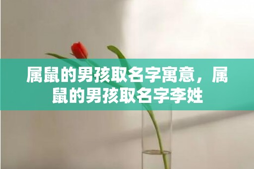 属鼠的男孩取名字寓意，属鼠的男孩取名字李姓