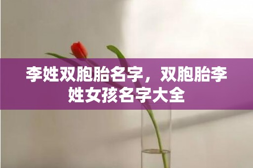 李姓双胞胎名字，双胞胎李姓女孩名字大全