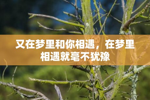 又在梦里和你相遇，在梦里相遇就毫不犹豫