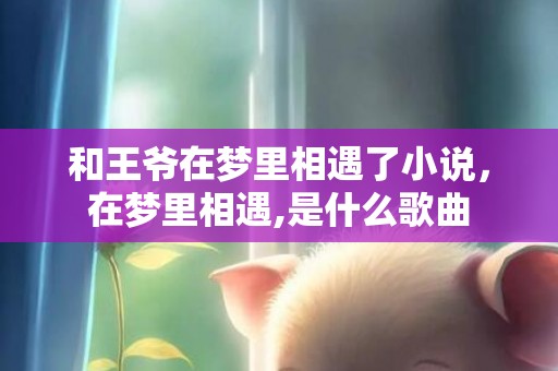 和王爷在梦里相遇了小说，在梦里相遇,是什么歌曲