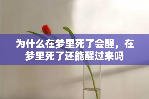 为什么在梦里死了会醒，在梦里死了还能醒过来吗