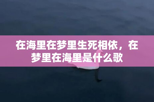 在海里在梦里生死相依，在梦里在海里是什么歌