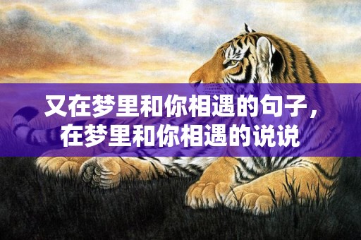 又在梦里和你相遇的句子，在梦里和你相遇的说说