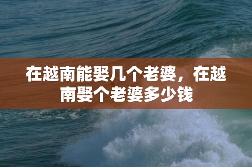 在越南能娶几个老婆，在越南娶个老婆多少钱
