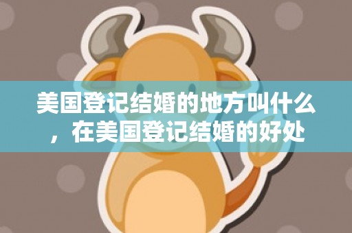 美国登记结婚的地方叫什么，在美国登记结婚的好处