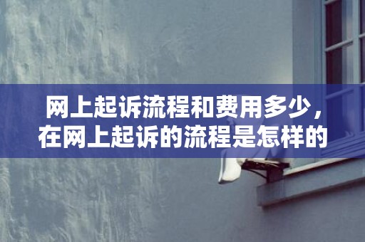 网上起诉流程和费用多少，在网上起诉的流程是怎样的