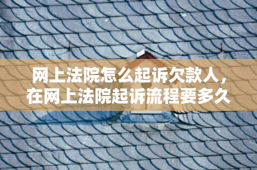 网上法院怎么起诉欠款人，在网上法院起诉流程要多久