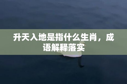 升天入地是指什么生肖，成语解释落实