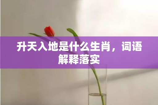 升天入地是什么生肖，词语解释落实